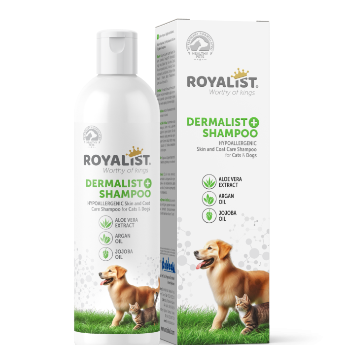Royalist Derma Şampuan